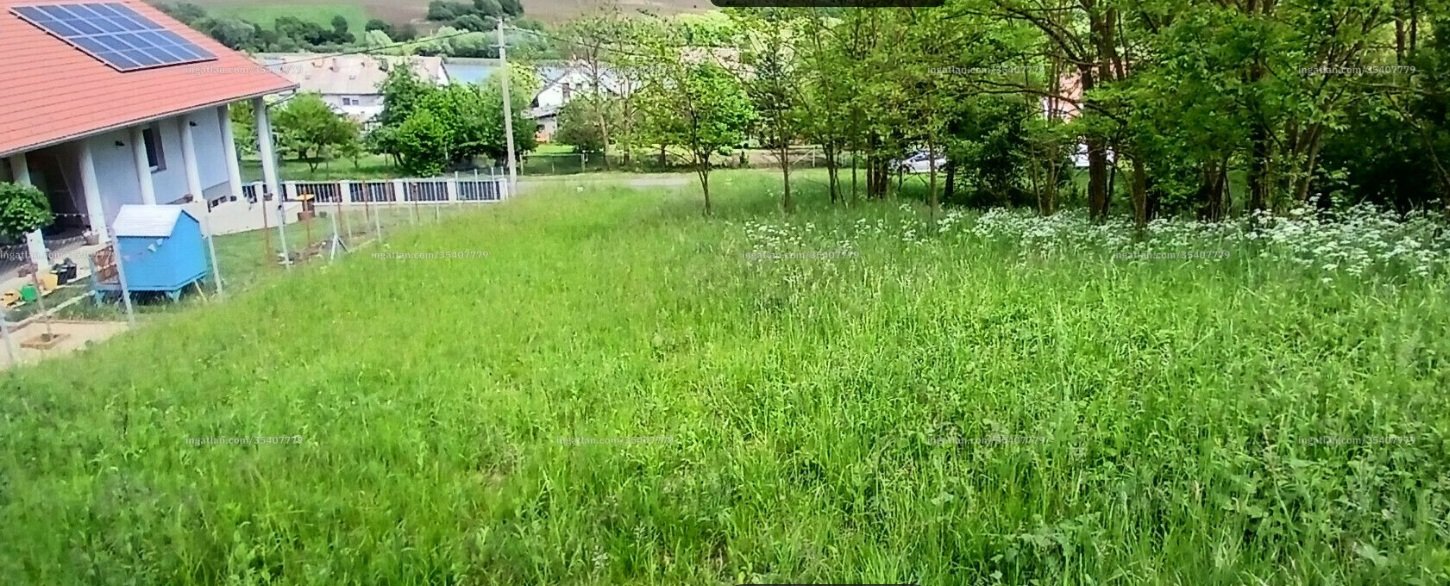 horgásztelek